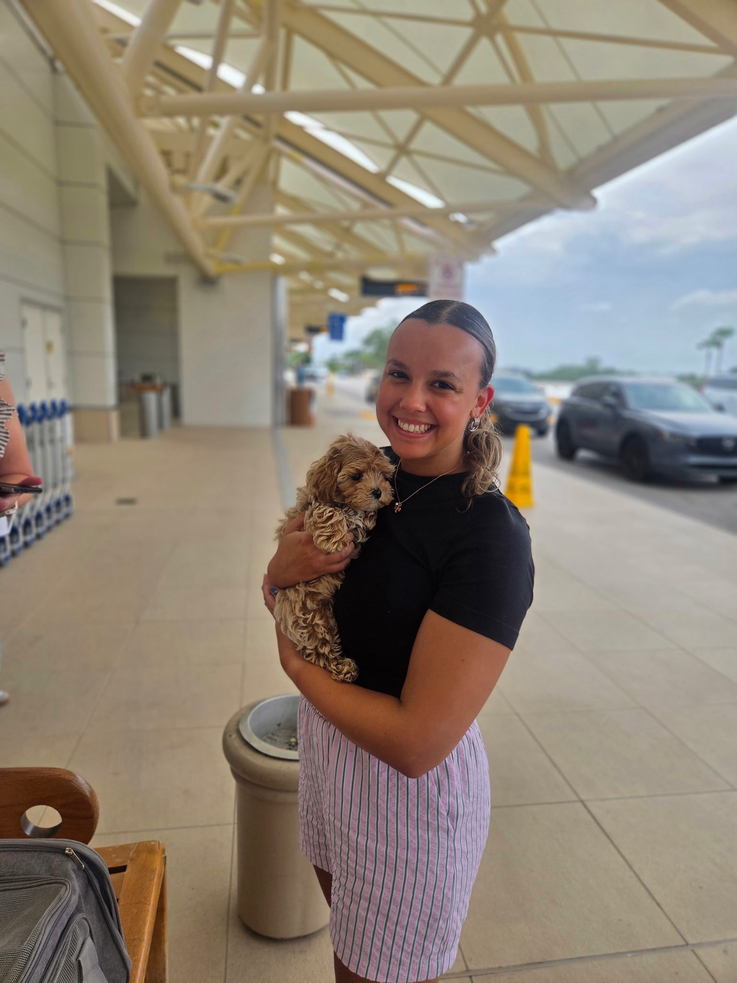 Slushy - F Maltipoo Puppy - Litter -- - Forever Home in Apopla- FL