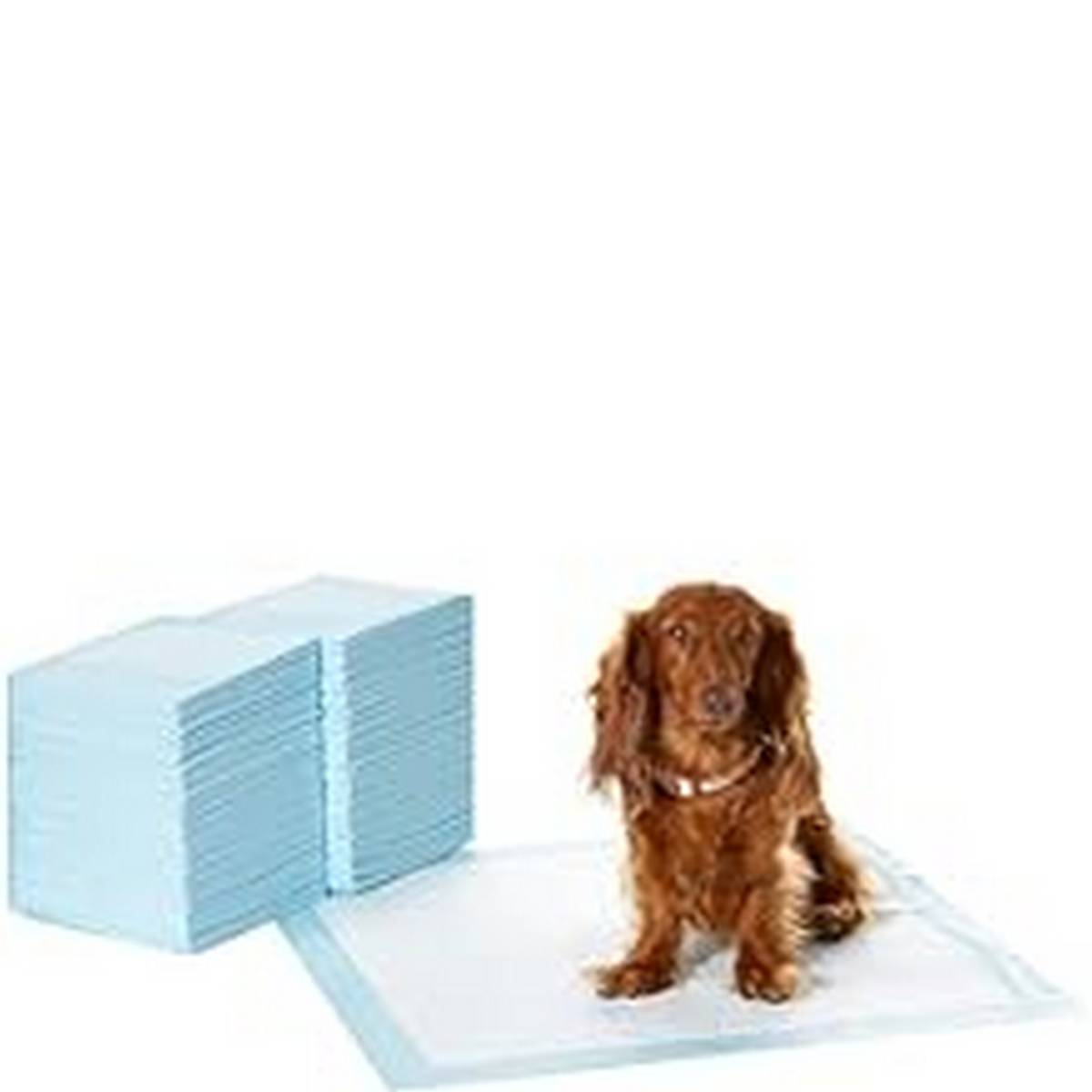 Supplies_Amazon Basics Dog and Puppy Pee Pads with -Layer Leak-Proof Design and Quick-Dry Surface for Potty Training Regular x Inch Scented - Pack of