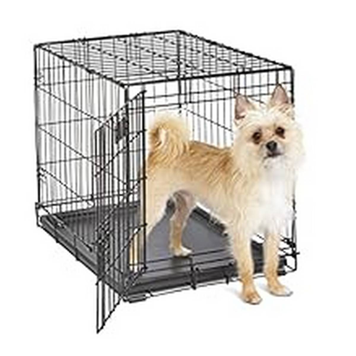 Supplies_MidWest Homes for Pets Newly Enhanced Single Door iCrate Dog Crate- Includes Leak-Proof Pan Floor Protecting Feet Divider Panel & New Patented Features
