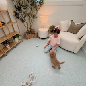 Teddy - FB Cavapoo Puppy - Litter --_