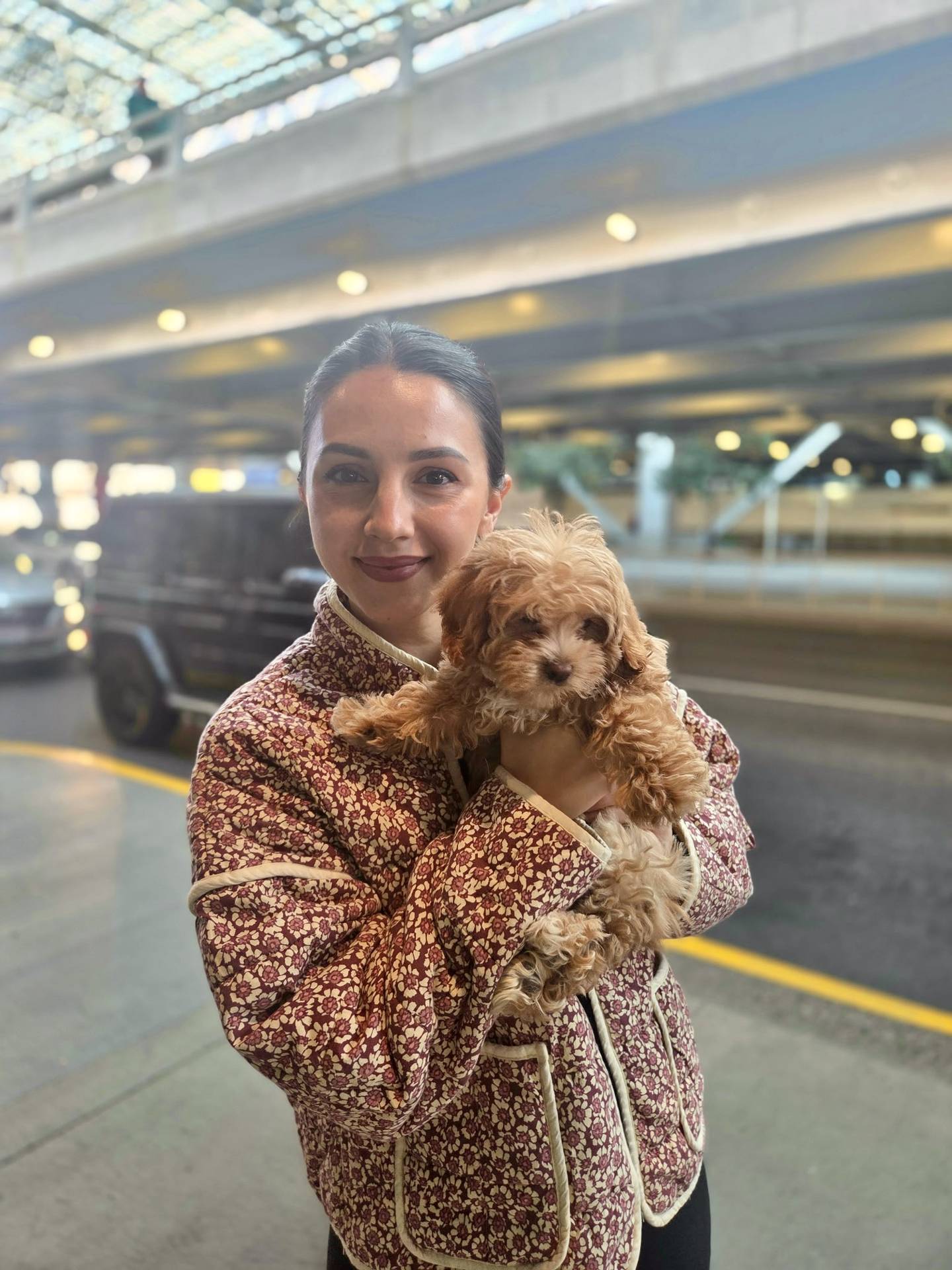 Thor - F Maltipoo Puppy - BPPP Litter --_Forever Home in Vancouver WA