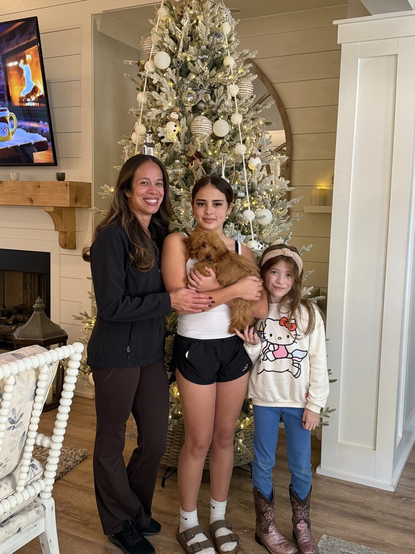 Tige - CKC Toy Micro Goldendoodle Puppy - PPP Litter --_Forever Home in Opelika AL_