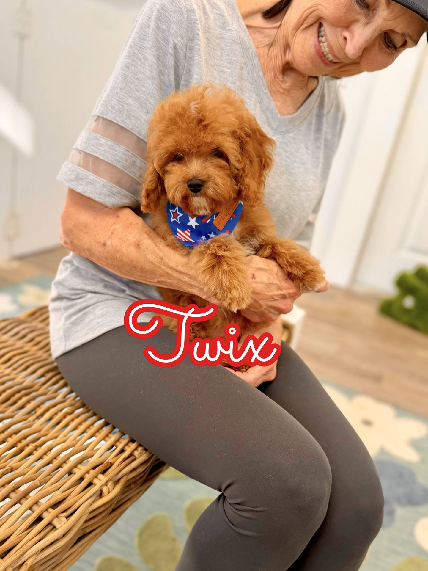 Twix - FB Cavapoo Puppy - BPPP Litter --_v-
