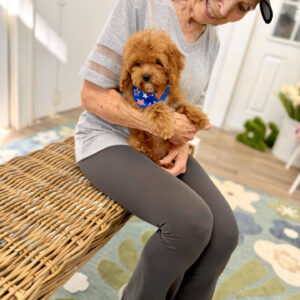 Twix - FB Cavapoo Puppy - BPPP Litter --_v-