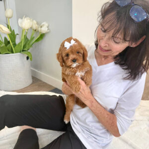 Valentina - F Cavapoo Puppy - BPPP Litter --_