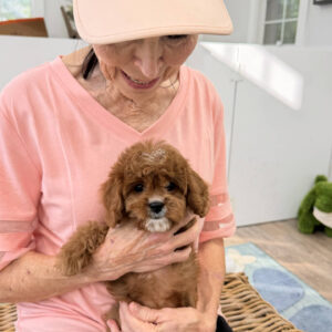 Yacht - F Cavapoo Puppy - BPPP Litter --_