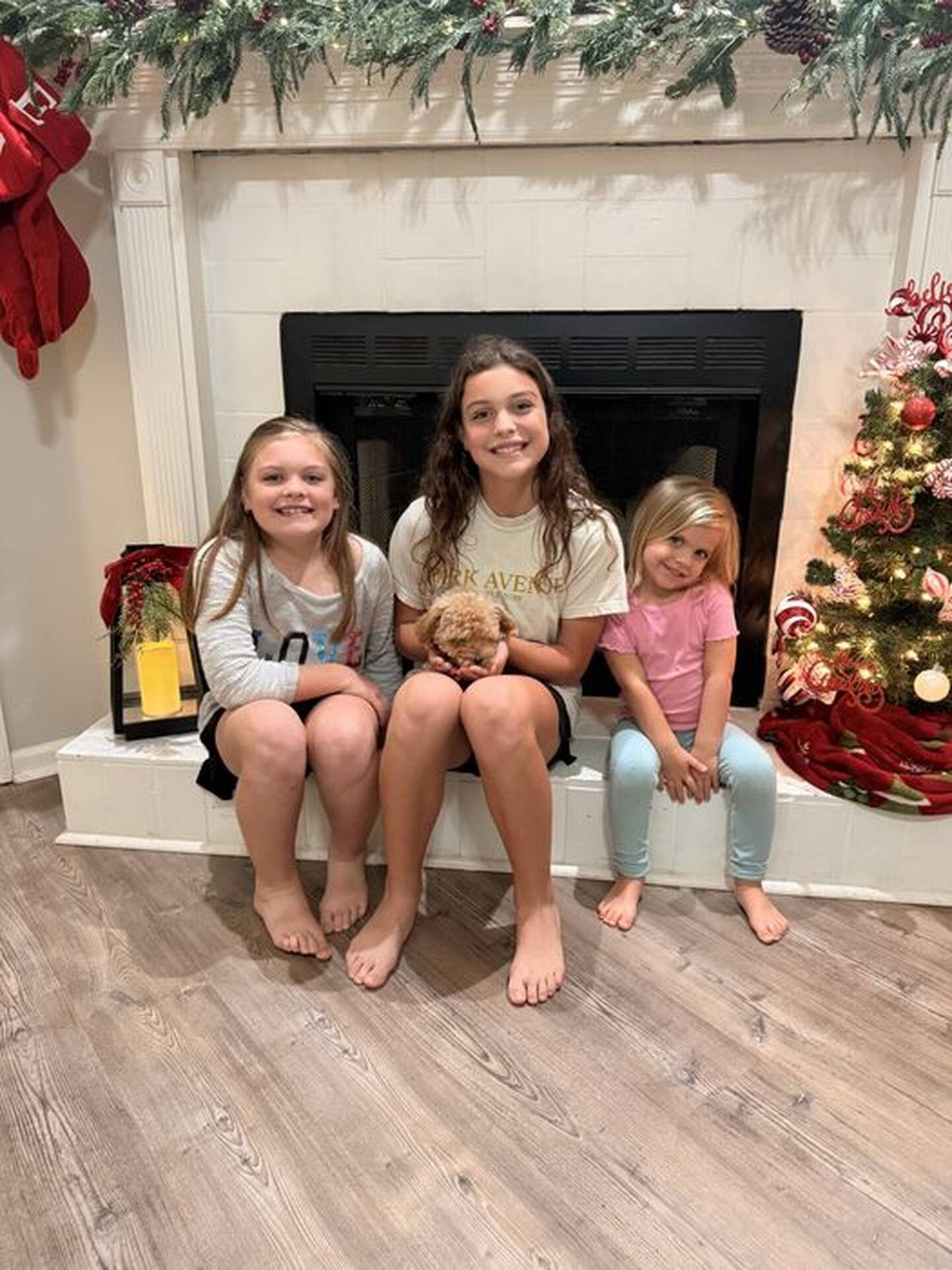 Zin - Toy Mini Goldendoodle Puppy - PPP Litter --_Forever Home in Valdosta GA