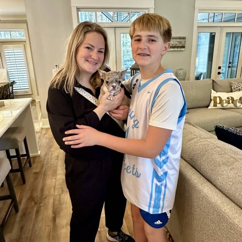 Apex - French Bulldog Puppy - BPPP Litter --_Forever Home in Cleveland GA