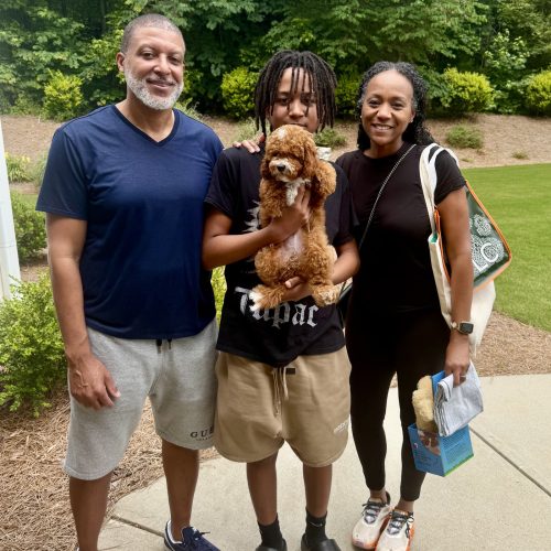 Bravo - CKC Toy Cavapoo - --_Forever Home inGrayson- GA