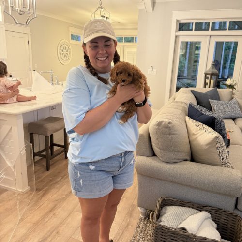 Coconut - F1 Cavapoo Puppy - Litter 4-27-25_Forever Home in Douglasville, GA