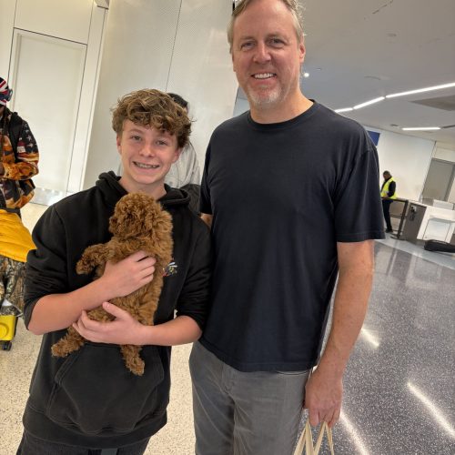 Gazelle - FB Cavapoo Puppy - BPPP Litter --_Forever Home in Huntington Beach- CA_