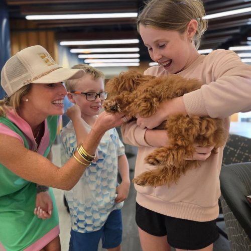 Ken - F Cavapoo Puppy - BPPP Litter -- - Forever Home in Waldo- AR