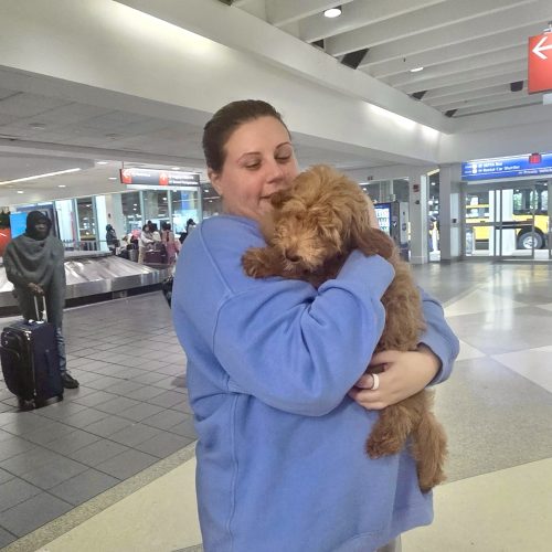 Lake - FBB Cavapoo Puppy - BPPP Litter -- - Forever Home in Toms River- NJ