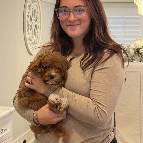 Pua - F Cavapoo Puppy - BPPP Litter --_Forever Home in Beech Island- SC