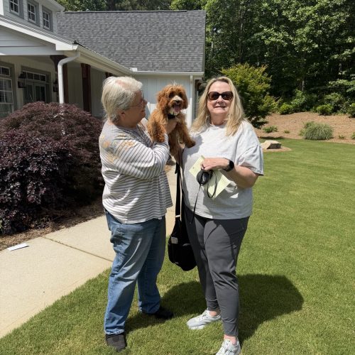 River - FBB Cavapoo Puppy - BPPP Litter -- - Forever Home in Woodstock- GA