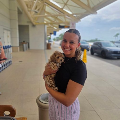 Slushy - F Maltipoo Puppy - Litter -- - Forever Home in Apopla- FL