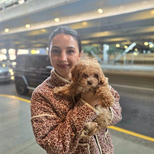 Thor - F Maltipoo Puppy - BPPP Litter --_Forever Home in Vancouver WA