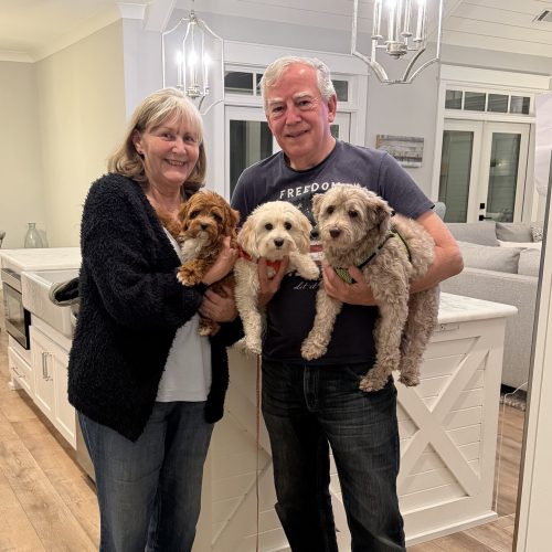 Waffle - FB Cavapoo Puppy - BPPP Litter --_Forever Home in Rock Island- TN_Final