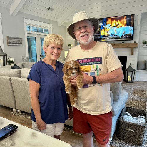Yacht - Toy Cavapoo - Litter --_Forever Home in Seneca- SC