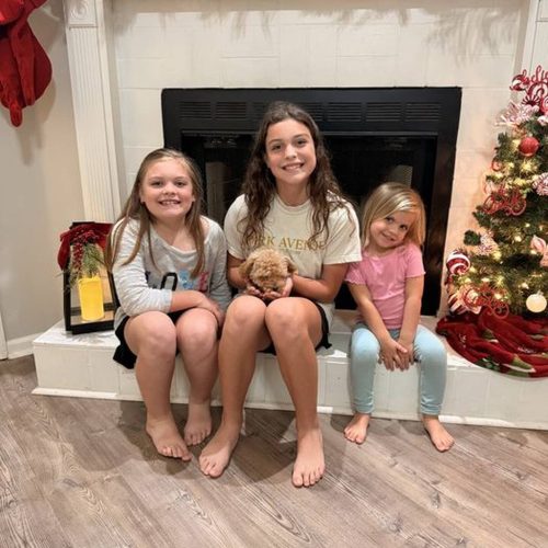 Zin - Toy Mini Goldendoodle Puppy - PPP Litter --_Forever Home in Valdosta GA